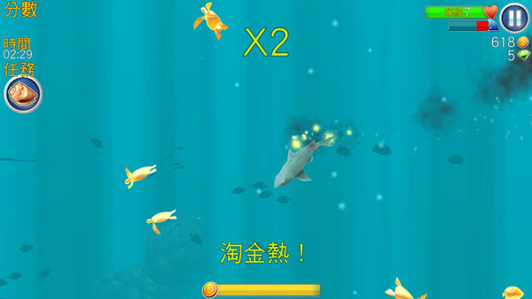 鲨鱼进化