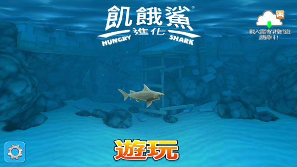 鲨鱼进化
