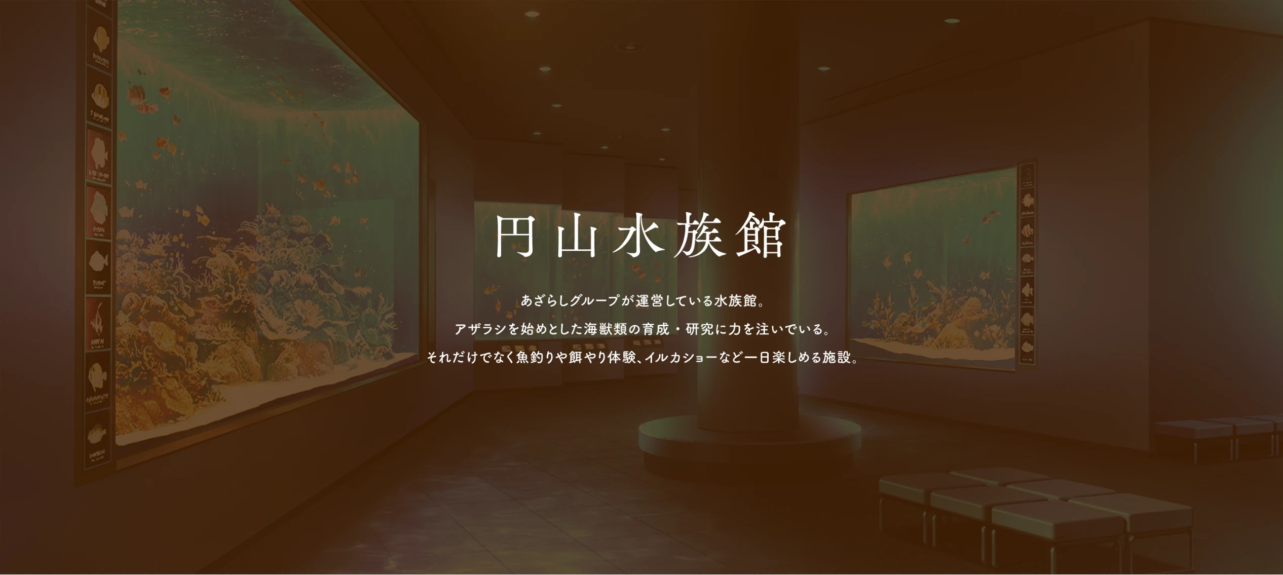 甜蜜女友3直装版