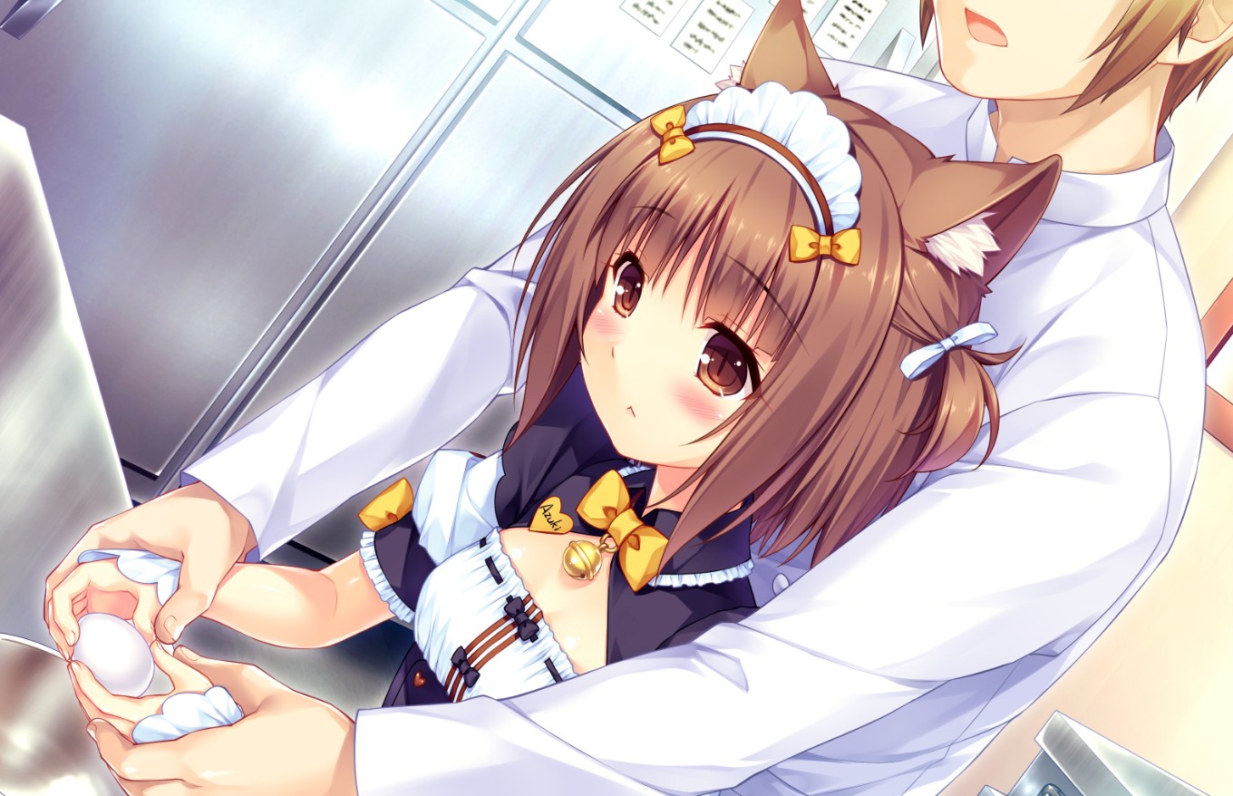 nekopara2汉化版