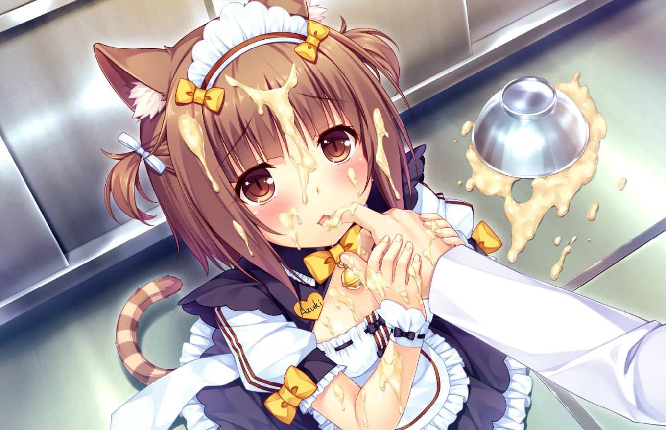 nekopara2汉化版