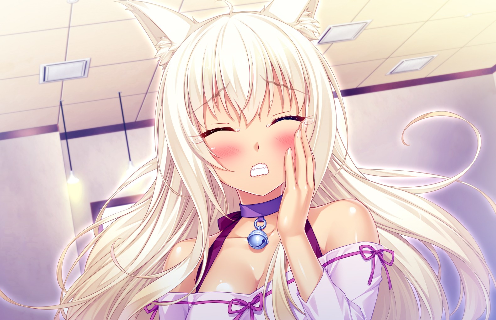nekopara2汉化版