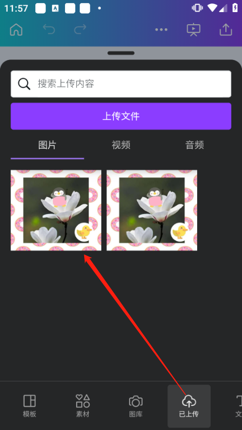 Canva手机版