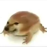 阳光沙滩