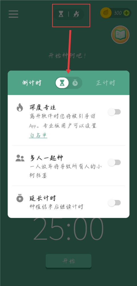 forest专注森林