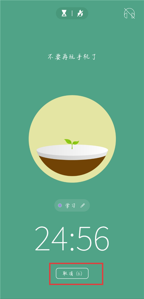 forest专注森林