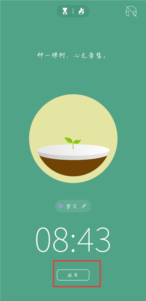 forest专注森林