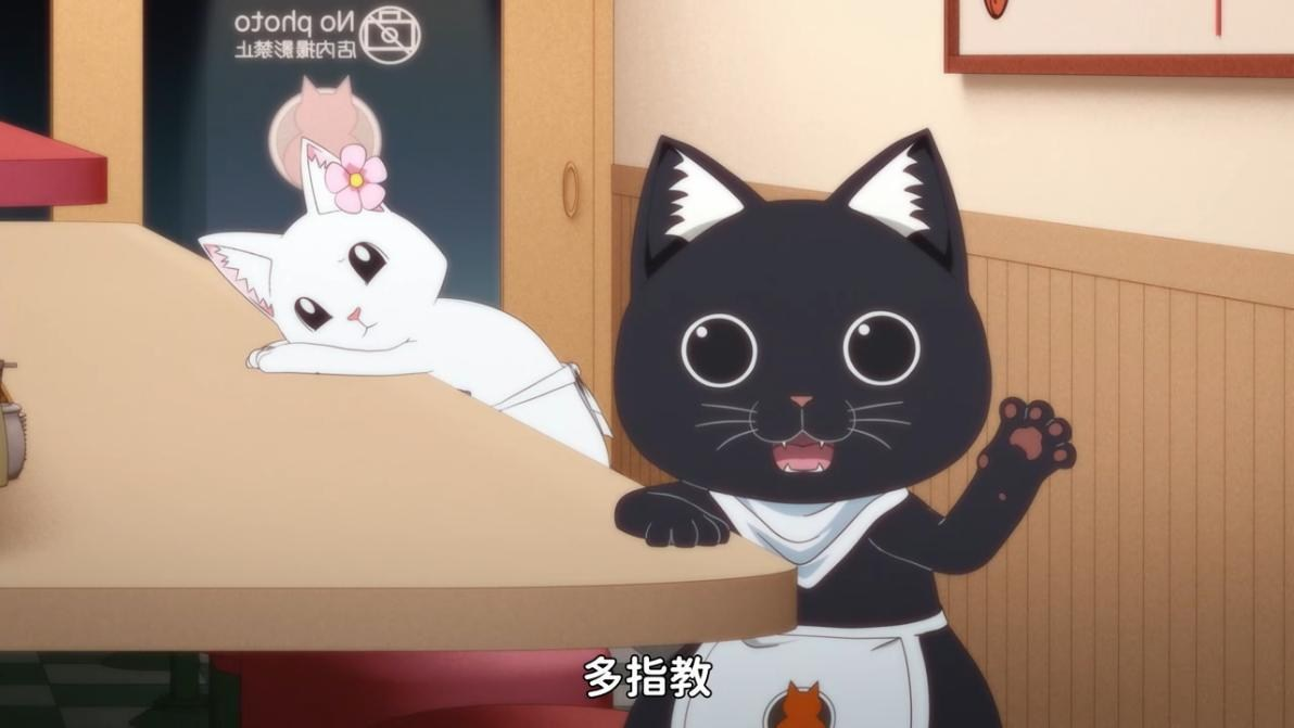 拉面赤猫