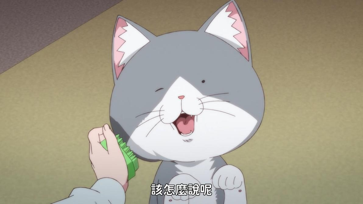 拉面赤猫