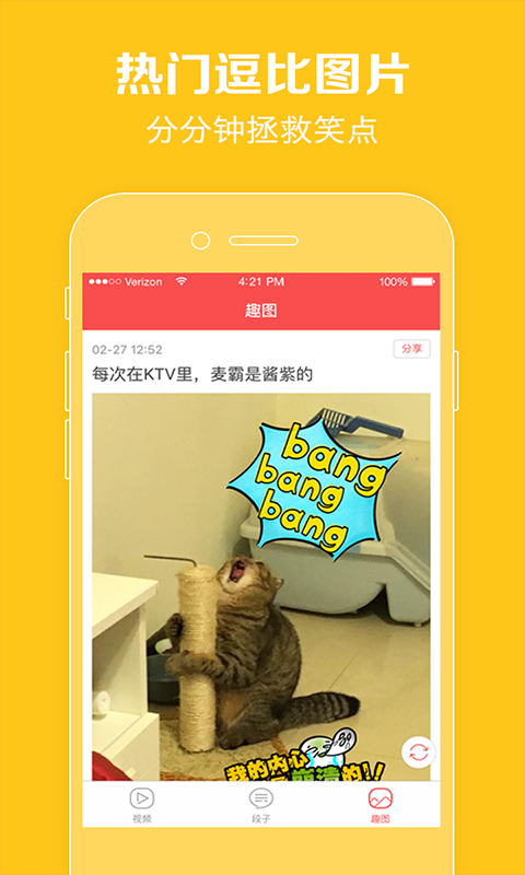 猫咪视频最新大全