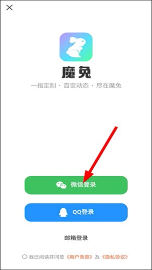  魔兔live2d
