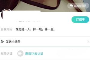 一伴婚恋专业版