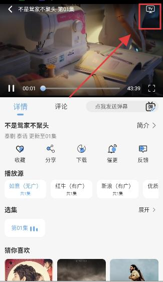 极兔影视