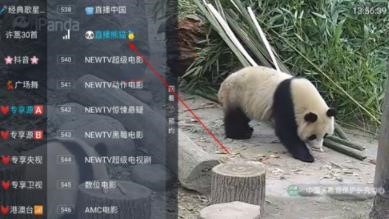 小清新TV