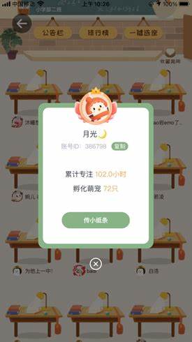 专注崽崽