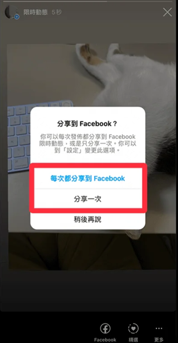 Instagram安卓版安装包
