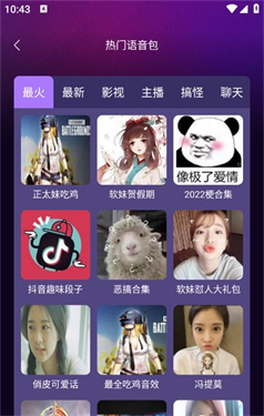 和平王变声器