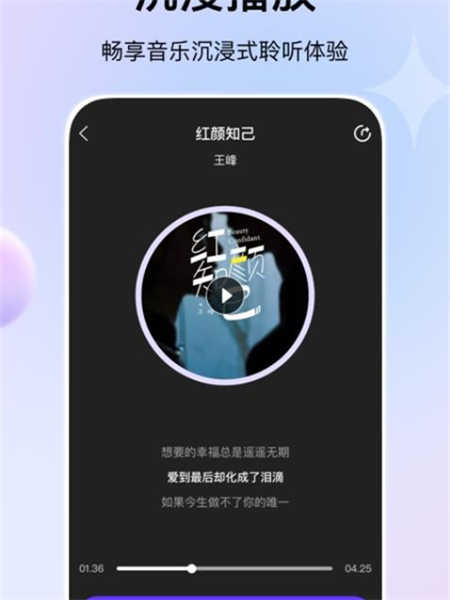 娱当家