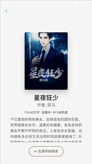 辰思小说