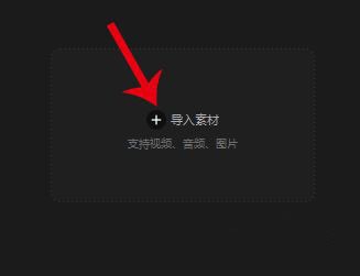 剪印专业版