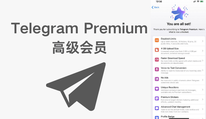 纸飞机telegram中文