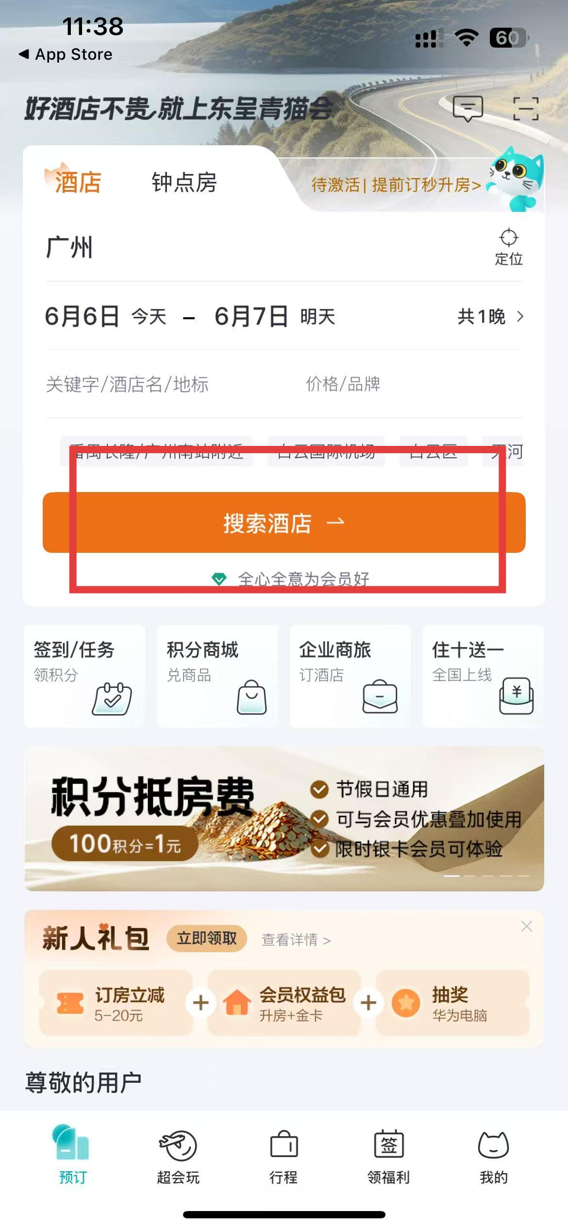 东呈青猫会