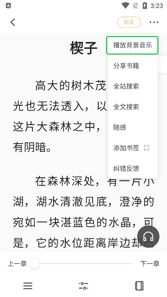 掌阅精选