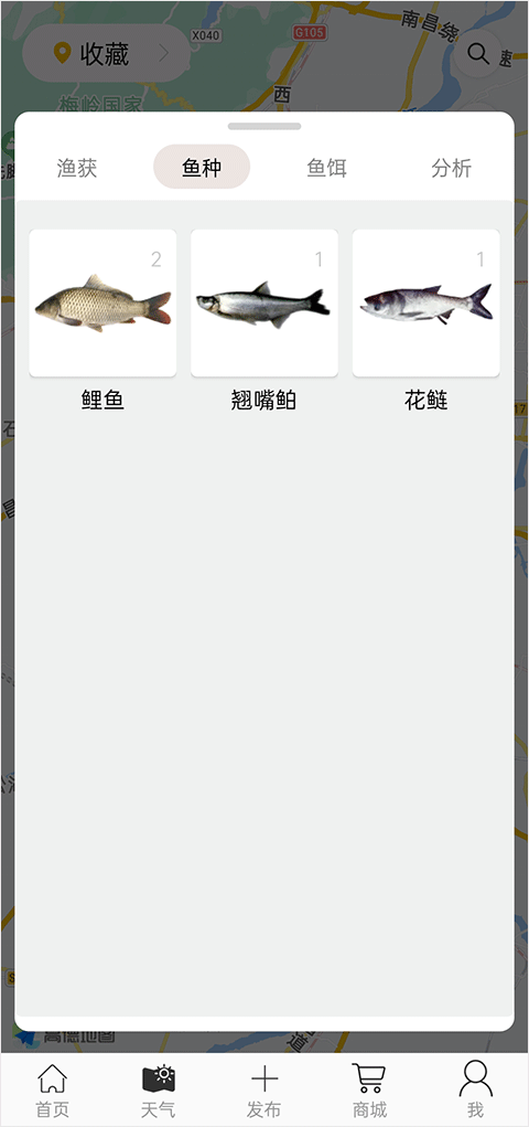 渔获天气预报