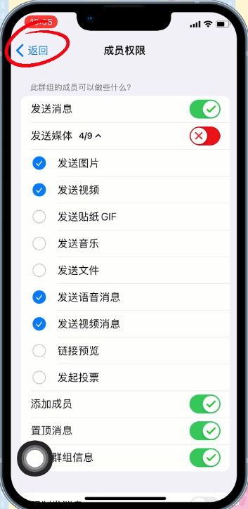 纸飞机官网版