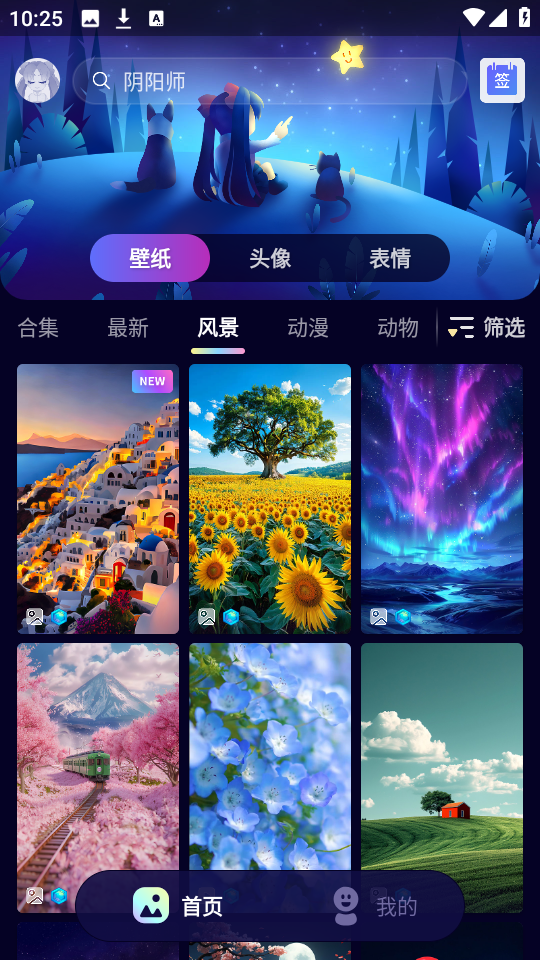 壁纸酱