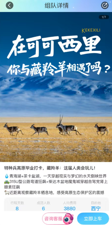墨鱼旅行app