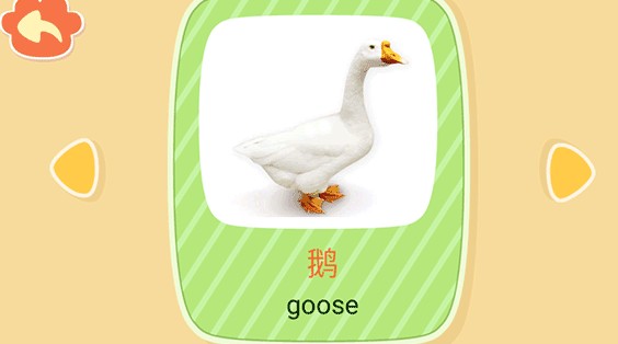 亲亲熊识字