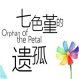 七色堇的遗孤