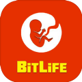 BitLife生活模拟器中文汉化版游戏