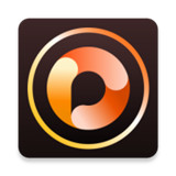 photodirector