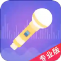语聊音频变声器APP下载