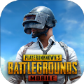 pubg小橘子v2.1地铁逃生直装版下载