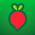叮咚买菜app骑手版客户端下载