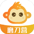 磨刀营网课APP版