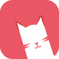 猫咪视频最新大全