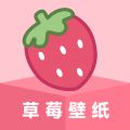 草莓壁纸手机壁纸软件下载安装