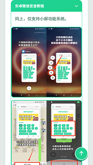 橘雪莉语音盒