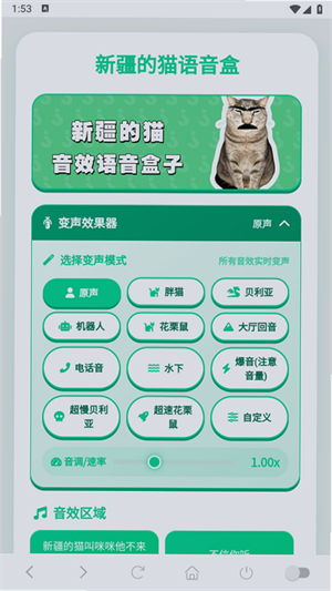 新疆的猫语音盒