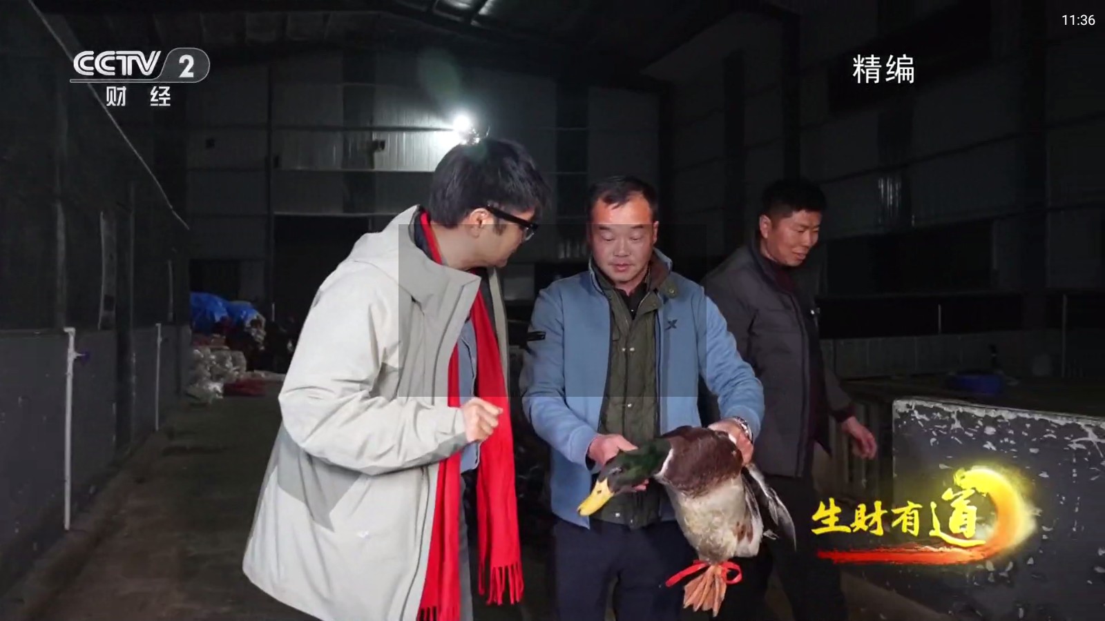 云尚TV