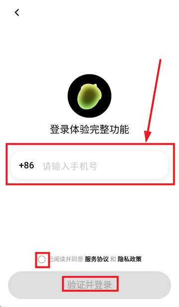 松果时刻