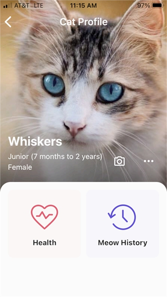MeowTalk