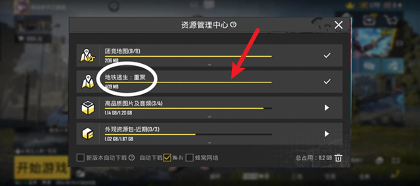 PUBG 国际服