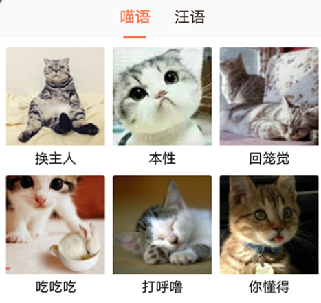 猫语翻译器中文版