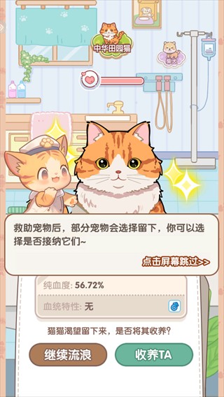 糖果猫