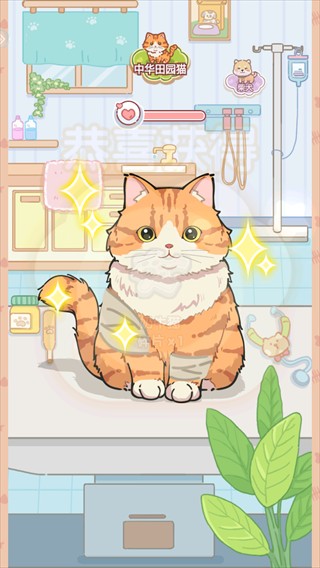糖果猫
